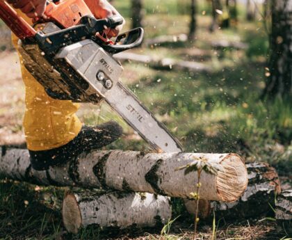 Piła akumulatorowa – wygodne narzędzie do pracy w ogrodzie